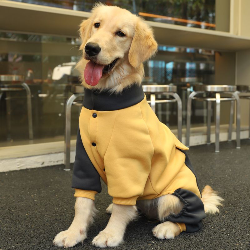 Cappotto per cani di grandi dimensioni